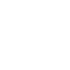 logo świat diy